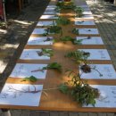 농부네 텃밭 이미지