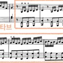 대상체르니 이미지