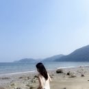 웅천동 1894(포레나여수웅천1단지, 2단지 사이 도로) | 여수