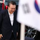 담담히