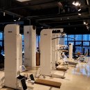 씨포스짐 이미지