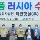 햇살떡 이미지
