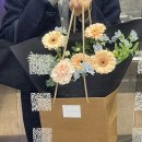 라 메이어 플레르