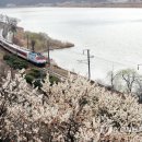 매화다방 - 시흥시 매화1로 18 | 매화다방