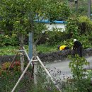 방광회관 이미지