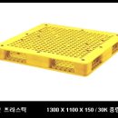 윤 파렛트