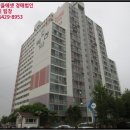 강동로5-19 이미지