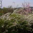 단산마을 이미지