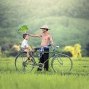 그린파크공인중개사사무소 이미지