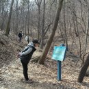 이른봄의 서정 이미지