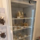 윈앤코 강아지 수제간식점 | 해운대 강아지 간식 고민 끝! 멍찬가게 수제간식점 후기