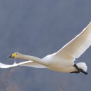 ㈜은십자 이미지