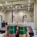 댕스돌