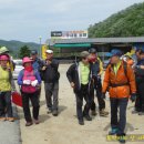 개미실산우회 제103차 원통산(645m) 산행일기(2014.05.11) 이미지