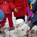 마리아의종어린이집 이미지