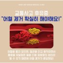 전동한의원 네이버블로그
