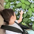 제주the힐118 | 그랜드조선 제주 힐스위트 가든 트윈룸 후기, 아기랑 가기 좋은 제주 가족호텔