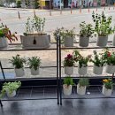 엔헤어캐슬 이미지