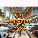 스윔 스타즈 이미지