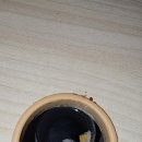대동다숲아파트경로당 | 창원 서상동 싱크대 막힘 대동다숲 싱크대 역류 누수 증상 해결한 후기