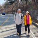 선기로1-1 이미지