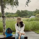 피터웍스 이미지