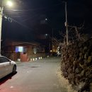 맛대로치킨 | 협재 맛집 두번 연속으로 간 수선화식당 내맛대로 메뉴 추천 순위