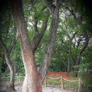 상림주유소 이미지