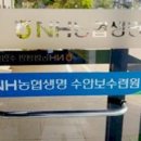 수안보농협 산지유통센터 이미지