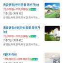 이레캠핑장 | [가평애견동반캠핑장]이레캠핑장 이용후기