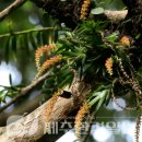 한라전설(주) 이미지