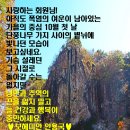 보헤미안 10월 엽서 한 장 이미지