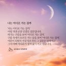 [고도원의 아침편지.[💌]-* 나는 어디로 가는 걸까 *- 이미지