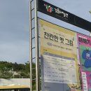 민화그리기 | [안산] 김홍도미술관 아카데미 ‘찬란한 옛 그림’ 민화 그리기 체험 김홍도미술관주차 정보