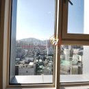 다온하브 이미지