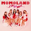 모모랜드 뉴스1