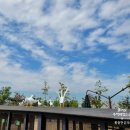 평택시농업기술센터 미생물관 화장실 | 평택시농업생태원 경기도 아이와가볼만한곳 대형 미끄럼틀, 모래놀이, 피크닉 장소로 좋은곳