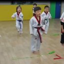 경희대 VICS 태권도장 이미지