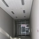 초록나무약국 이미지