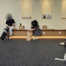 이룸독트레이닝 이미지