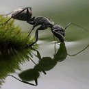 ㈜칸스포츠1 태양광발전소 | 2013년 3월13일 Facebook 이야기