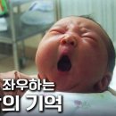 영유아기 3살 때까지 받은 사랑이 뇌 성장을 결정한다! 신뢰감, 인간관계, 감성.. 아기의 미래를 좌우하는 '애착 육아 이미지