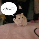 정도 유도 체육관 2관 답십리 | 11월의 일상