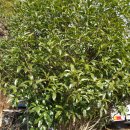 외서송광 행복한목욕탕 이미지