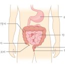 엄창섭 한국일보