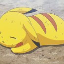 호야 PC방 이미지