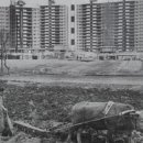 여행중국어 이미지