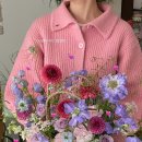 핏어팟(pit A pat) 이미지