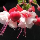 설악낚시터 이미지