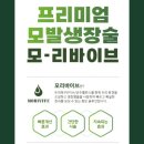 렛미인X모리바이브두피탈모